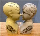 Cabezas Phrenology. No disponible